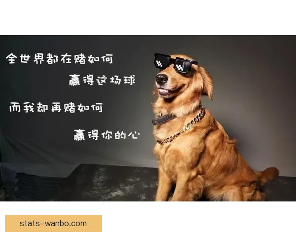 2026世界杯买球推荐解析 提前布局赢得更多机会 2026世界杯买球推荐解析 提前布局赢得更多机会